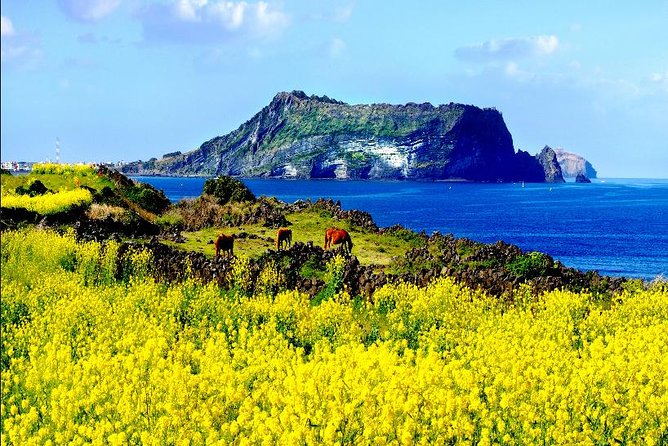10day Small Group Discover Korea Tour : History, Food and Culture - Value for $3,800: what you’re really buying with this package