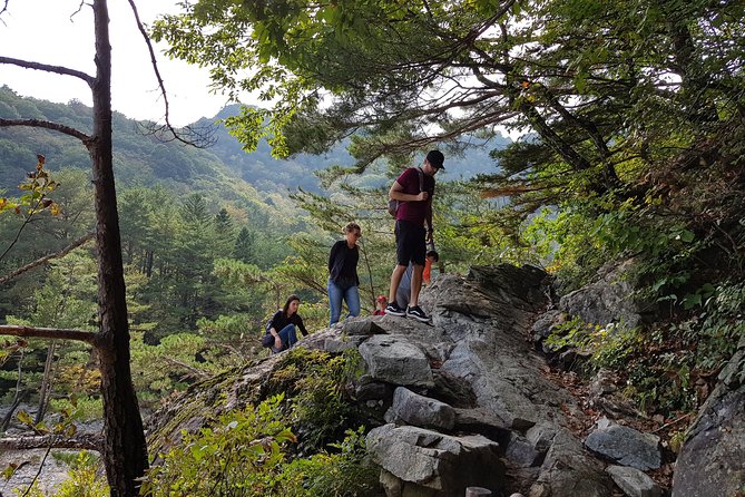 2-Day Hike through the Scenic Valleys of Mt. Seoraksan from Seoul - The private transport and pickup: the quiet value most people forget