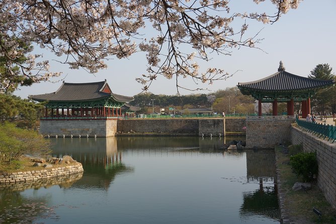3-Days 2-Nights Gyeongju UNESCO Sites & Busan City [Private Tour from Seoul] - Guides like Shane, Benny, Alfonso, and Jimmy: what private service changes