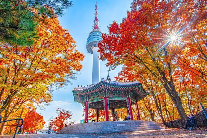7 days Flexible Tour for Major Cities(Seoul,Busan,Gyeongju etc) - Day 2 in Seoul: skyline views, Bongeunsa temple peace, Starfield Library photos, and a night cruise