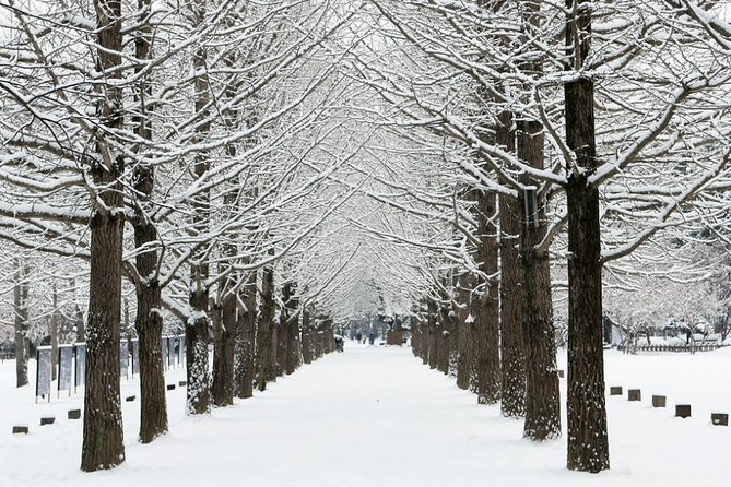 All Day Private Make your own plan tour to Nami Island and others - Nami Island in Winter: Romantic Walks, Photo Time, and Your Own Pace
