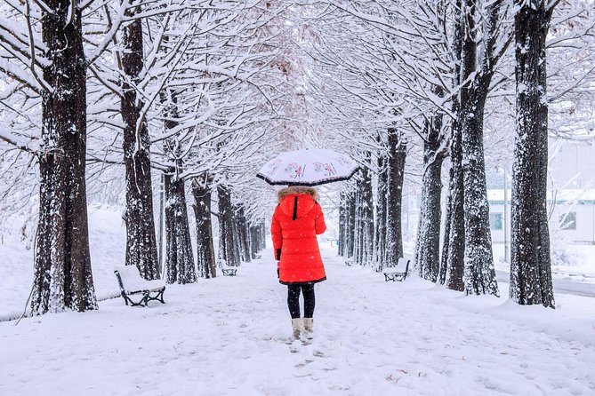 All Day Private Make your own plan tour to Nami Island and others - Garden of Morning Calm: Light Festival Atmosphere and Photo-First Moments