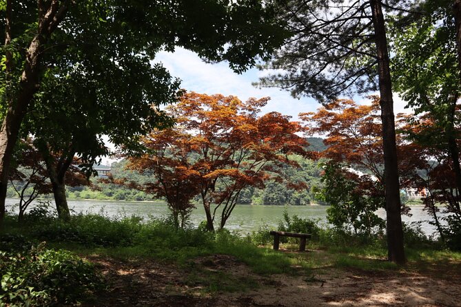Alpaca, Nami, Petite Fr, Italian Village, Garden of Morning Calm - Key Things to Know Before You Go