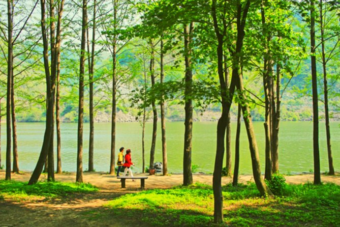 Alpaca World and Nami Island with Gangchon Rail Bike Tour - The Seoul logistics: what the 10-hour day actually feels like