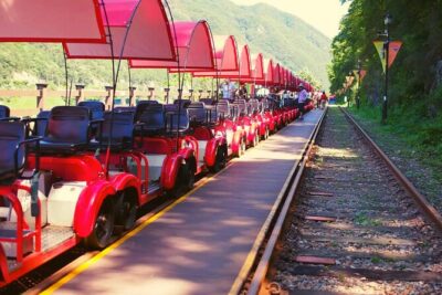 Alpaca World and Nami Island with Gangchon Rail Bike Tour - Nami Island’s tree-lined walk: why this place keeps pulling people back