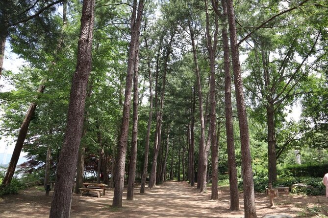 Alpaca World and Nami Island with Gangchon Rail Bike Tour - Guide-driven smoothness: Jesse, Rose, Alex, David, Zero, and more