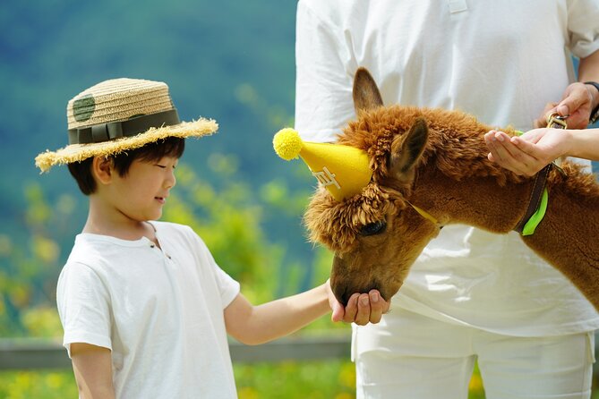Alpaca World Tour with Nami Island (optional Railbike or Garden) - A 12–13 hour Seoul schedule that mixes animals and island time