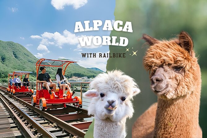 Alpaca World with Gangchon Rail Park One Day Tour - Quick highlights you’ll actually use