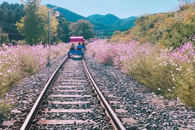 Alpaca World with Gangchon Rail Park One Day Tour - Price and value: what $86.20 really buys you