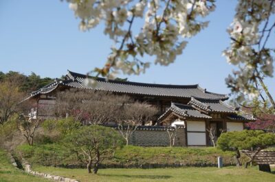 Andong Hahoe Folk Village [UNESCO World Heritage] Private Tour from Seoul - The cliff stop: Buyongdae’s 64 meters of perspective