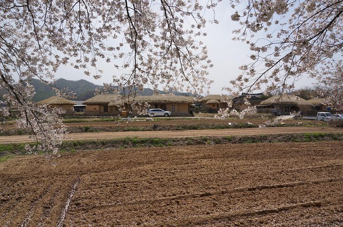 Andong Hahoe Folk Village [UNESCO World Heritage] Private Tour from Seoul - Byeongsan Seowon: Confucian school and the logic of learning
