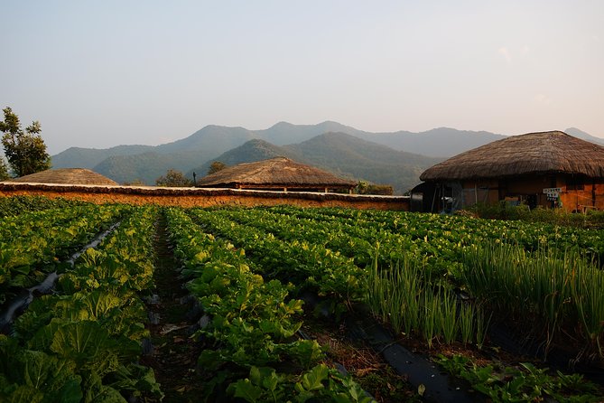 Andong Hahoe Village [UNESCO site] Premium Private Tour from Seoul - Guide quality makes or breaks the long day