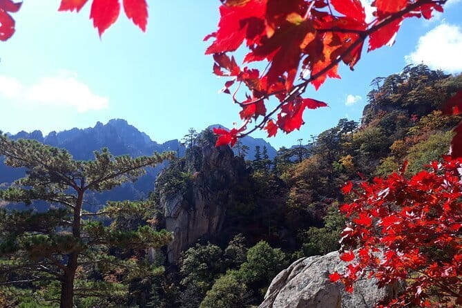 Autumn Foliage-Mt. Seorak, Sokcho Fish Market, Sokcho Beach - How the Park Time Actually Feels (and Why the Schedule Helps)