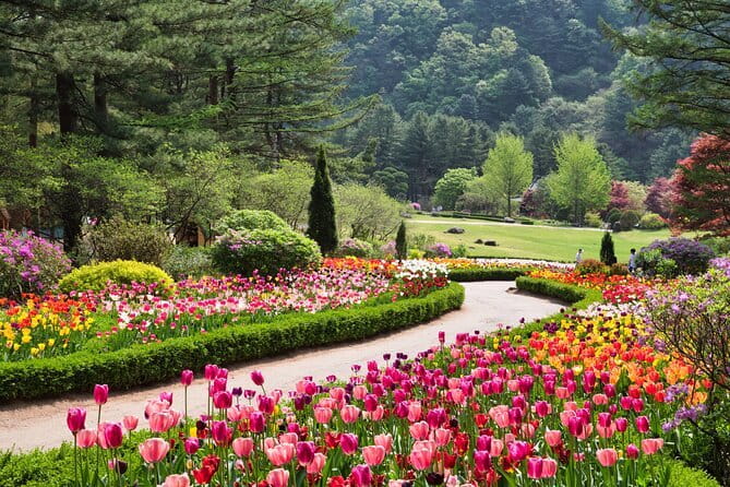 BTS Army Fan Day Tour from Seoul (Follow K-Pop Star Footsteps) - Stop 2: Hakdong Park, Trainee-Day Hangout Energy