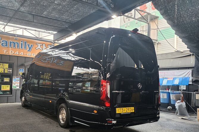 Customizable Private Seoul Tour in luxury van for VIP - UNESCO and Classic Views: Changdeokgung, Bongeunsa, and Temple Scenery