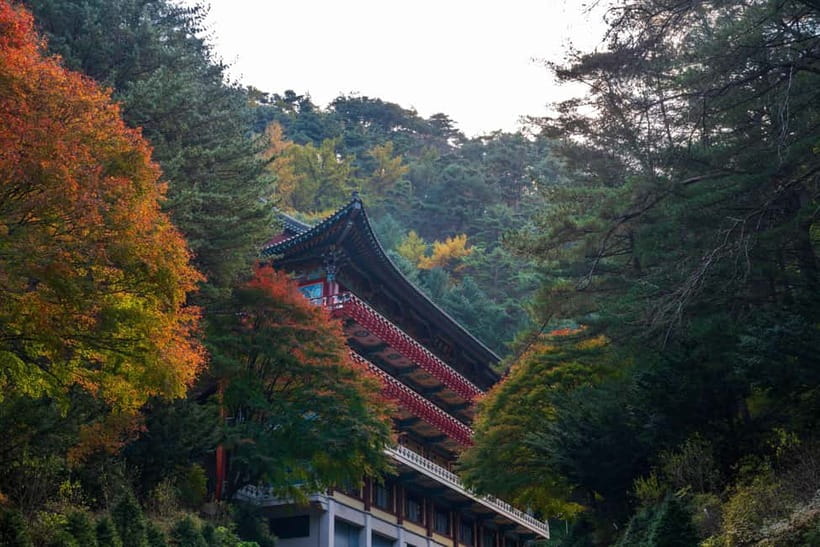 Danyang Tour:Guinsa Temple & Bobaljae & Cheongpung Cable Car - Vegetarian Temple Food: A Simple Meal Worth Planning Around