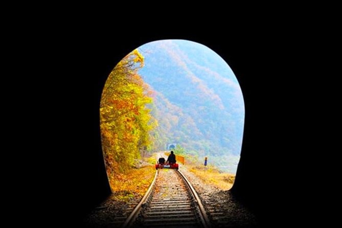 Day Tour to Gangchon Rail Bike Nami Island and Petite France - Price and value: is $169.24 worth it?