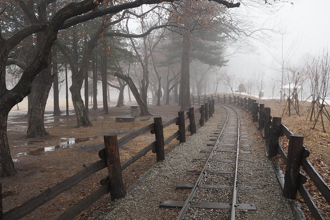 Day Tour to Gangchon Rail Bike Nami Island and Petite France - What to expect from the 9-hour flow (and where the time goes)