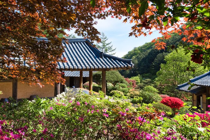 Day Trip to Nami Island with The Garden of Morning Calm - Getting Out of Seoul: Pickup, Transport, and Realistic Timing