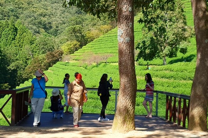 Discover Western Korea in 4days: All-Inclusive Experience - Day 4 in Busan: UN Memorial Cemetery, then back to Seoul