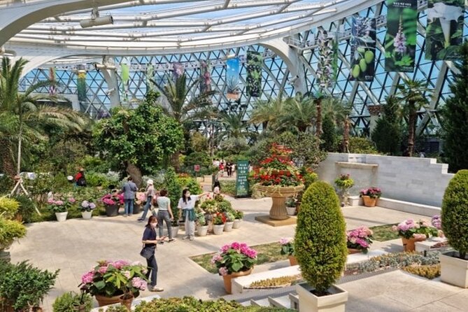 DIY Seoul Private Tour: Select 4 places you want to go - How the guide makes the day work: flexibility and little fixes