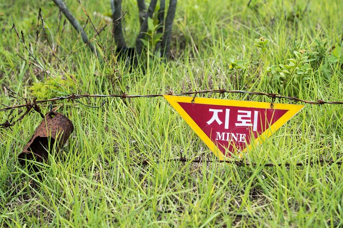 DMZ One Day Tour in Gyeonggi-do with English or Spanish - Price and Value: What You’re Paying For at $250