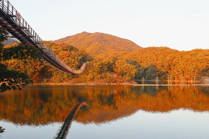 DMZ Private Tour: 3rd Tunnel, Option(Suspension Bridge, Boat) - FAQ