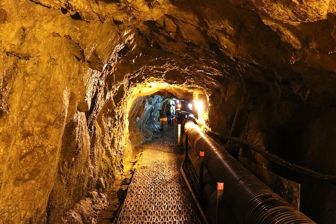 DMZ Tour: 3rd Tunnel, Option(Suspension Bridge, Boat) from Seoul - Key highlights to look for