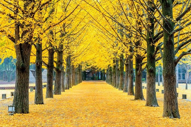 Easy private tour to Nami Island, Garden of Morning Calm - Why Nami Island + Garden of Morning Calm Fits This Kind of Seoul Trip