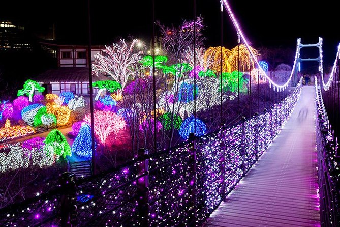 Easy private tour to Nami Island, Garden of Morning Calm - Garden of Morning Calm: Four-Season Design Plus the 6 p.m. Winter Lights