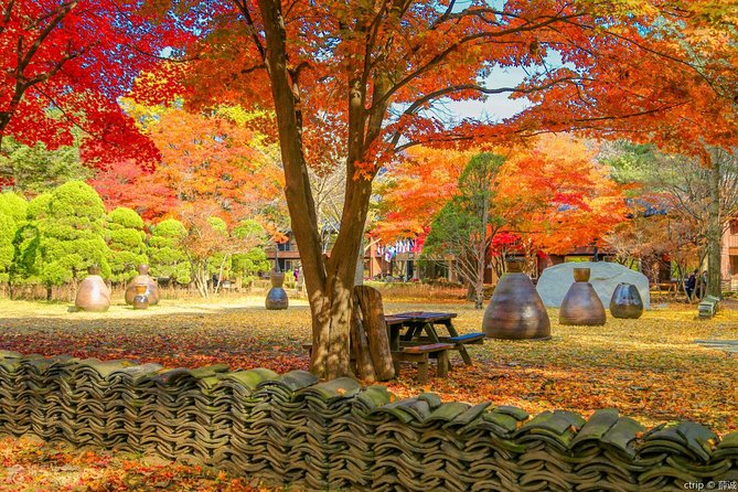 Easy private tour to Nami Island, Garden of Morning Calm - Price and Value at $130: What’s Included, What’s Not, and When It Makes Sense