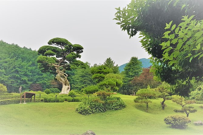 Easy private tour to Nami Island, Garden of Morning Calm - Guide Style and Photo Help: Why It Changes the Whole Experience