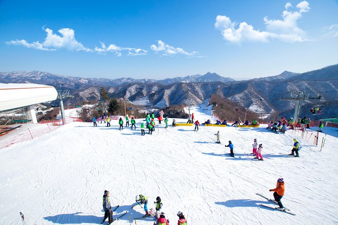 Elysian Gangchon Winter Ski with Nami Island Day Tour from Seoul - Key highlights to know before you go