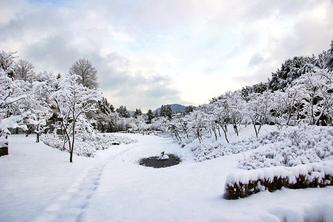 Elysian Gangchon Winter Ski with Nami Island Day Tour from Seoul - Stop 1: Nami Island in about 3.5 hours