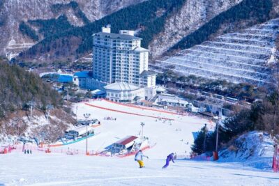 Elysian Gangchon Winter Ski with Nami Island Day Tour from Seoul - Options and what’s really included (A through E)