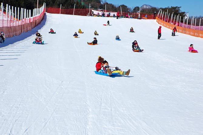 Elysian Gangchon Winter Ski with Nami Island Day Tour from Seoul - Stop 2: Elysian Gangchon Ski Resort basics that matter