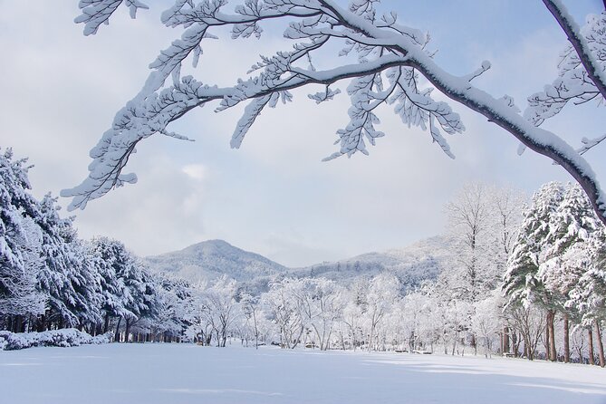 Elysian Gangchon Winter Ski with Nami Island Day Tour from Seoul - Value check: what you’re paying for at about $33.33