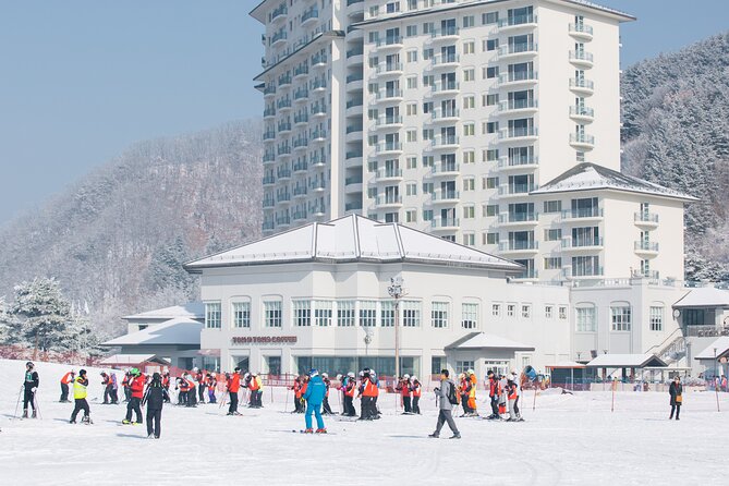 Elysian Gangchon Winter Ski with Nami Island Day Tour from Seoul - Who should book this tour (and who might not)