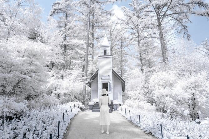 Eobi Ice Valley, Nami Island, Morning Calm and Rail Bike Seoul - Key things that make this route worth your time