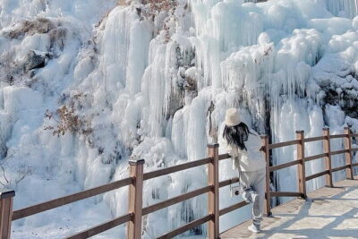 Eobi Ice Valley, Nami Island, Morning Calm and Rail Bike Seoul - Morning pick-up windows in Seoul (and why timing matters)