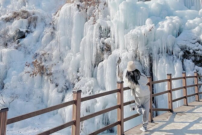 Eobi Ice Valley, Nami Island, Morning Calm and Rail Bike Seoul - Morning pick-up windows in Seoul (and why timing matters)