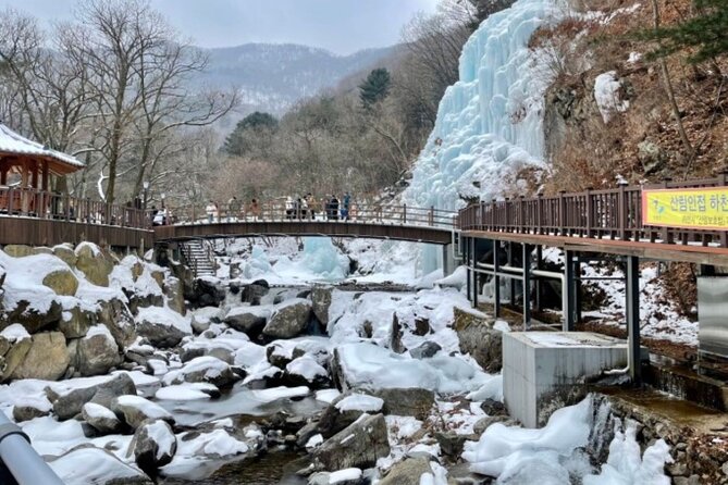Eobi Ice Valley& Nami Island with Garden of Morning Calm Trip - Key highlights at a glance