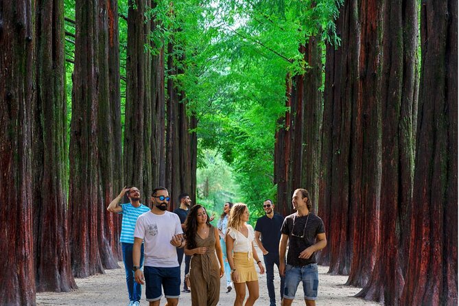 Eobi Ice Valley& Nami Island with Garden of Morning Calm Trip - Start and finish at Hongik University Station (and why that’s good)