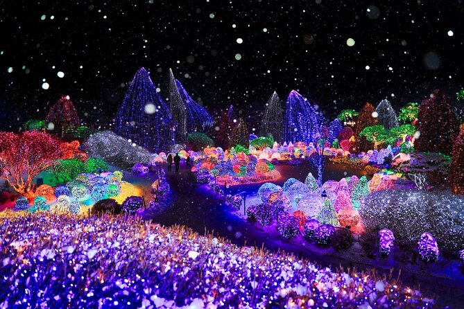 Eobi Ice Valley& Nami Island with Garden of Morning Calm Trip - Nami Island: tree-lined calm and classic Winter Sonata vibes