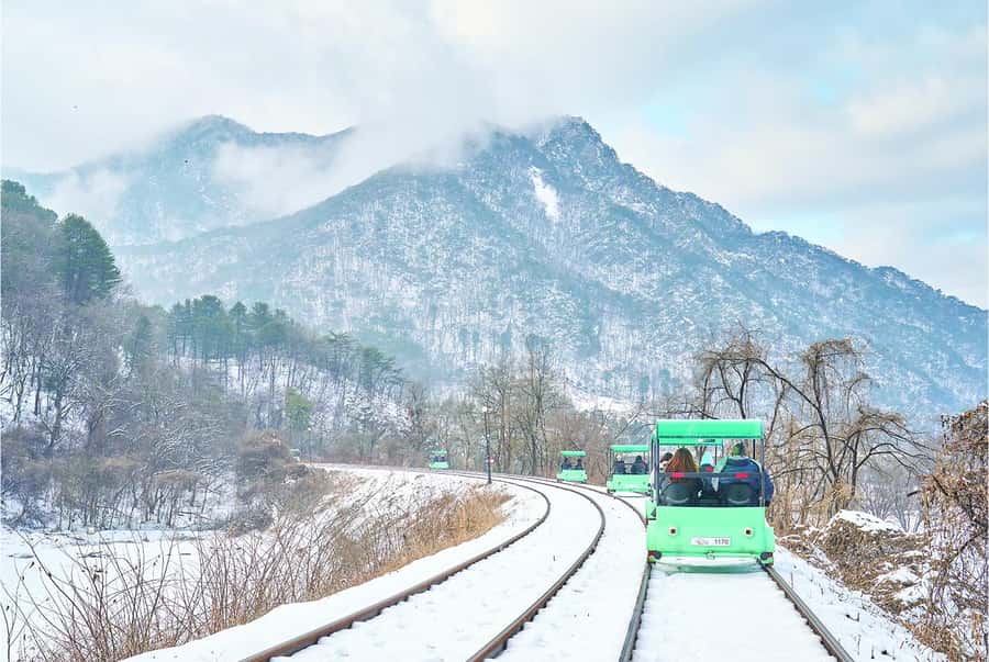 Eobi Ice Valley & Nami (+ Light Festival, Railbike, Alpaca) - Nami Island in winter: calm paths, big photo moments, and Winter Sonata charm