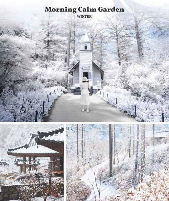 Eobi Ice Valley & Nami & Railbike & Petite & Morning Calm - Garden of Morning Calm light festival: the best night-ending glow