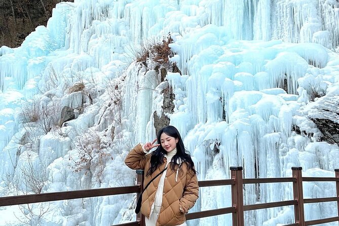 Eobi Ice Wall & Nami Island & Morning Calm Light Festival - Value check: does $74.33 make sense for this kind of day?