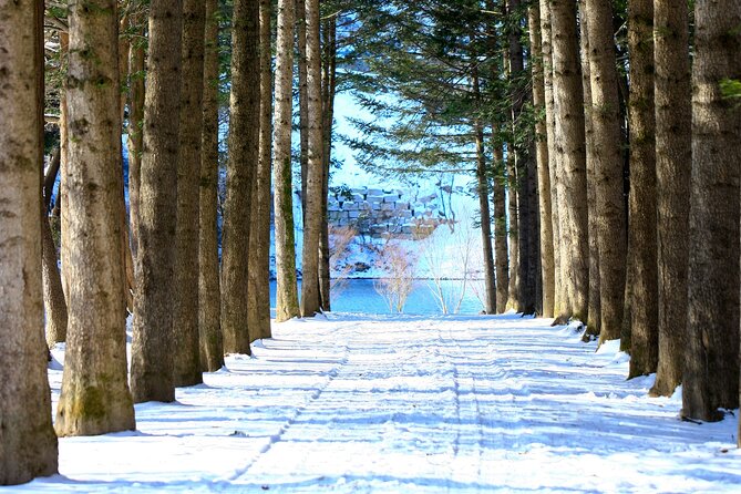 Eobi Ice Wall & Nami Island & Morning Calm Light Festival - Who should book this trip, and who should skip it
