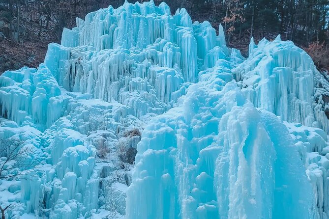 Eobi Ice Wall & Nami Island & Morning Calm Light Festival - Practical tips that make the day easier