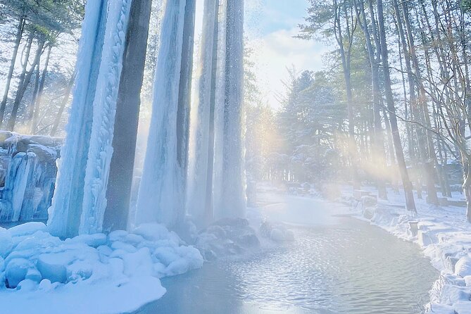 Eobi Ice Wall & Nami Island & Morning Calm Light Festival - Should you book this tour?